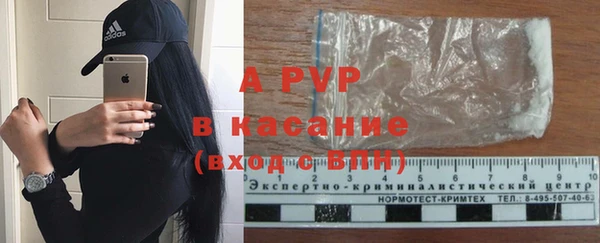spice Арсеньев