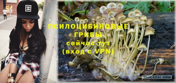 прущие грибы Алексин