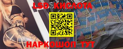дмт Можайск