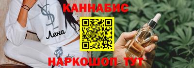 крисы Можга
