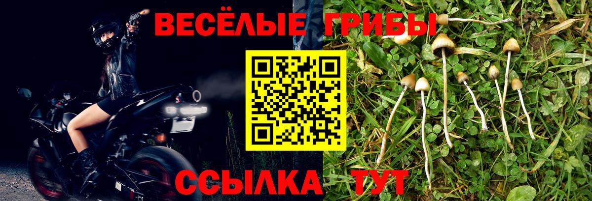 Псилоцибиновые грибы Magic Shrooms Гуково