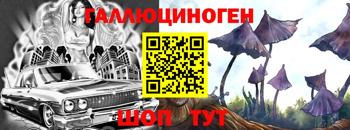Псилоцибиновые грибы прущие грибы  Псилоцибиновые грибы GOLDEN TEACHER  Вход с VPN  Гуково 